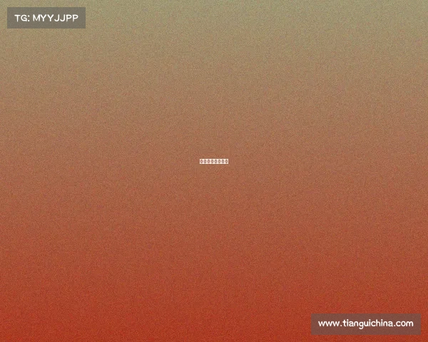 炫石互娱旗下战队